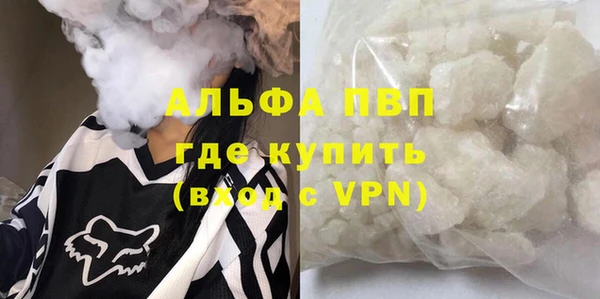прущие грибы Богородск