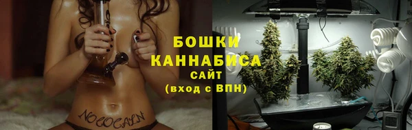 МДПВ Богородицк