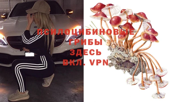 прущие грибы Богородск