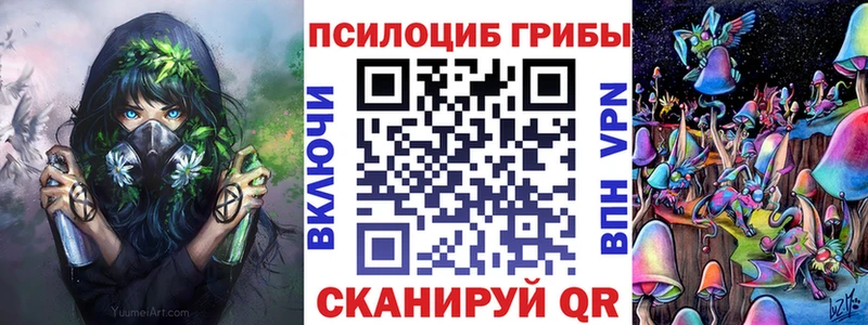 Купить закладки  Жигулёвск  Псилоцибиновые грибы Psilocybine cubensis 