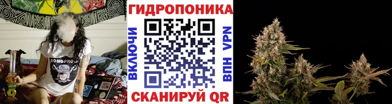 Купить  Жигулёвск  МАРИХУАНА White Widow 